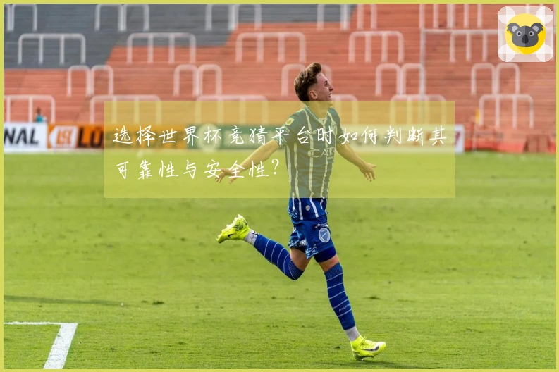 选择世界杯竞猜平台时如何判断其可靠性与安全性？