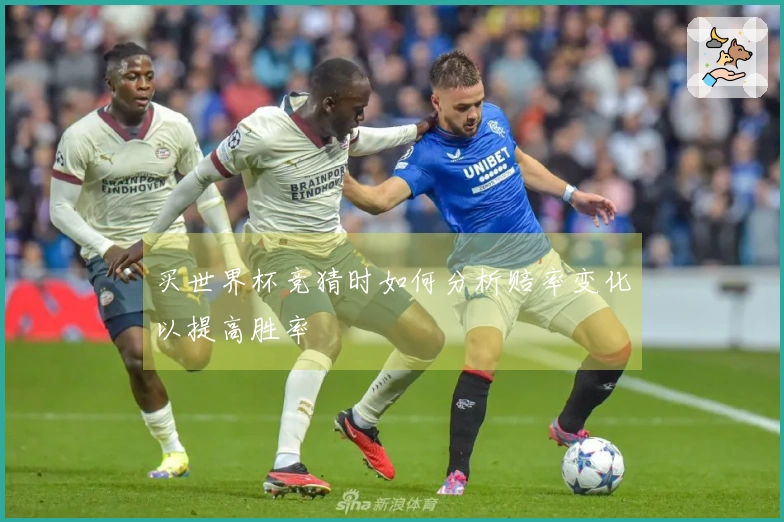 买世界杯竞猜时如何分析赔率变化以提高胜率