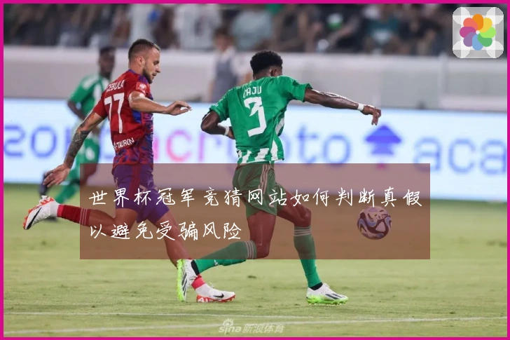 世界杯冠军竞猜网站如何判断真假以避免受骗风险