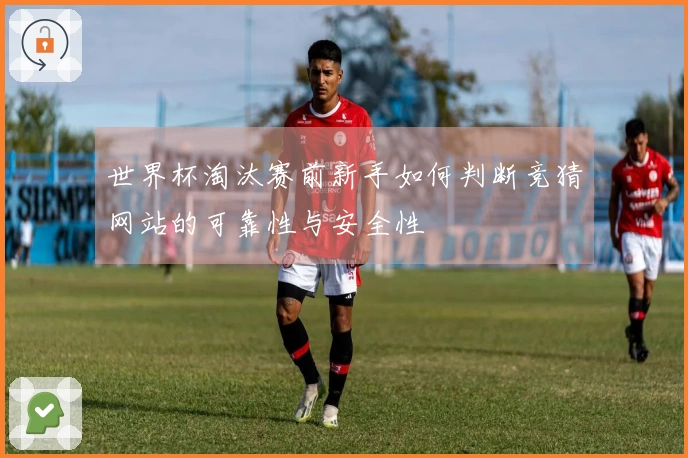 世界杯淘汰赛前新手如何判断竞猜网站的可靠性与安全性