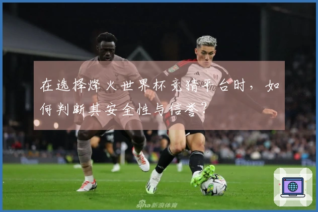 在选择烽火世界杯竞猜平台时，如何判断其安全性与信誉？