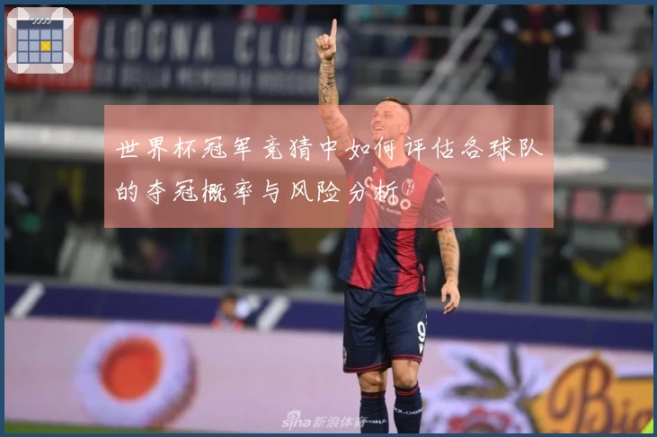 世界杯冠军竞猜中如何评估各球队的夺冠概率与风险分析