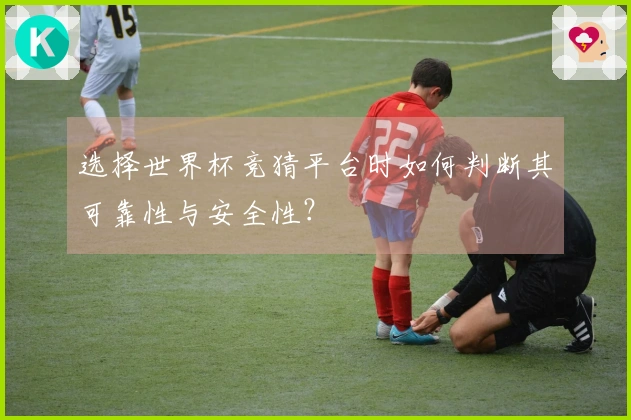 选择世界杯竞猜平台时如何判断其可靠性与安全性？