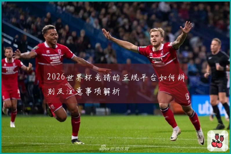 2026世界杯竞猜的正规平台如何辨别及注意事项解析