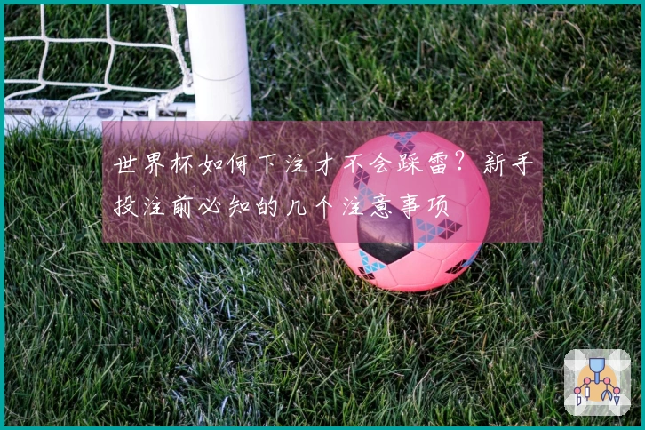 世界杯如何下注才不会踩雷？新手投注前必知的几个注意事项
