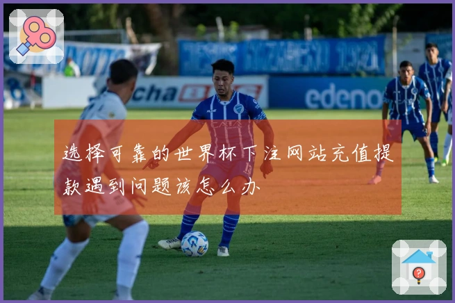 选择可靠的世界杯下注网站充值提款遇到问题该怎么办