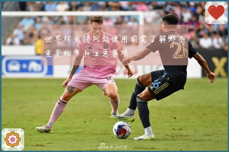 世界杯竞猜网站使用前需了解哪些重要细节和注意事项