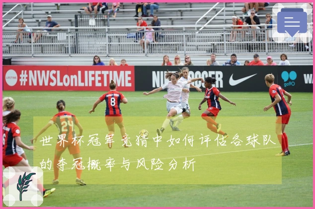 世界杯冠军竞猜中如何评估各球队的夺冠概率与风险分析