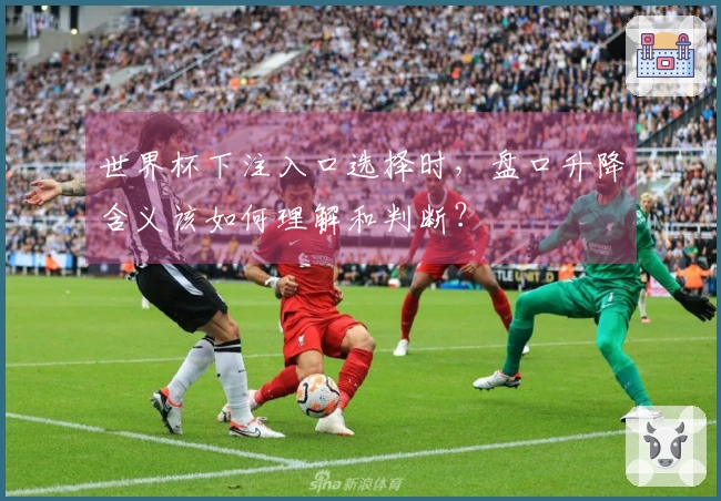 世界杯下注入口选择时，盘口升降含义该如何理解和判断？