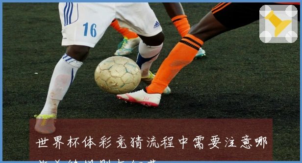 世界杯体彩竞猜流程中需要注意哪些关键规则与细节