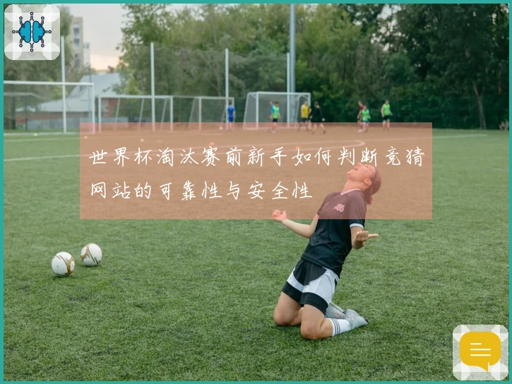 世界杯淘汰赛前新手如何判断竞猜网站的可靠性与安全性