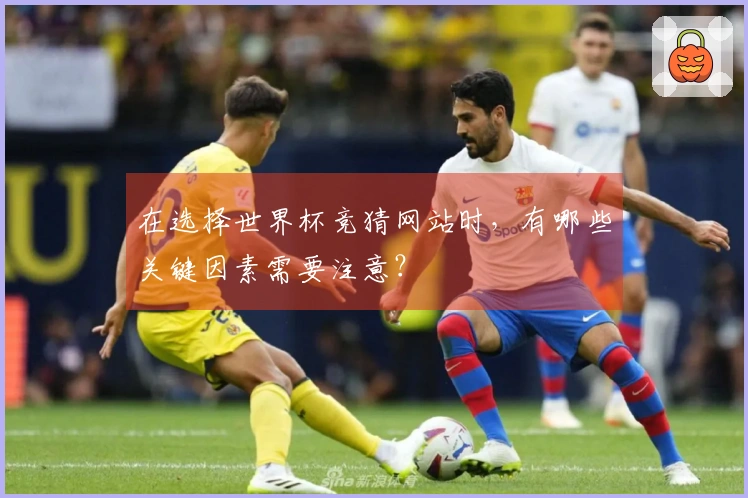 在选择世界杯竞猜网站时，有哪些关键因素需要注意？