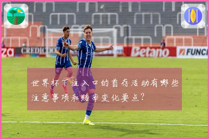 世界杯下注入口的首存活动有哪些注意事项和赔率变化要点？