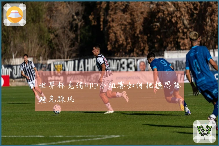 世界杯竞猜app小组赛如何把握思路避免踩坑