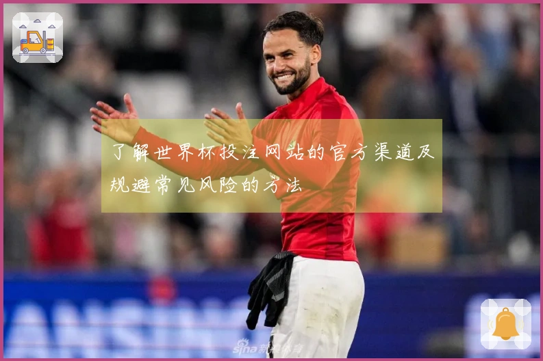 了解世界杯投注网站的官方渠道及规避常见风险的方法