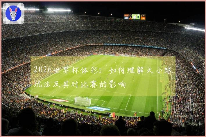 2026世界杯体彩：如何理解大小球玩法及其对比赛的影响