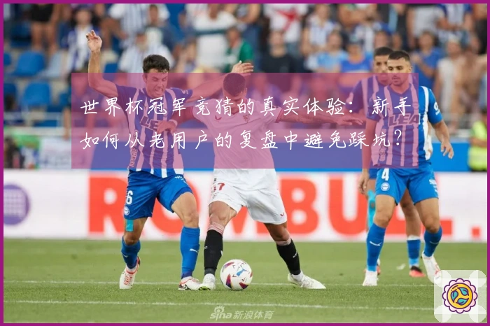 世界杯冠军竞猜的真实体验：新手如何从老用户的复盘中避免踩坑？