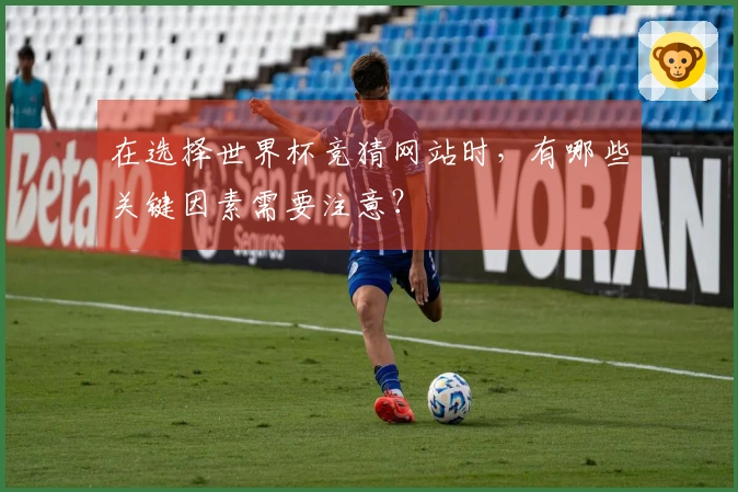 在选择世界杯竞猜网站时，有哪些关键因素需要注意？
