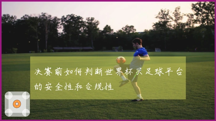 决赛前如何判断世界杯买足球平台的安全性和合规性
