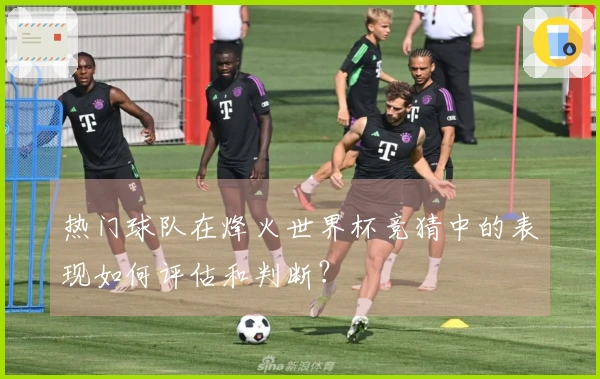 热门球队在烽火世界杯竞猜中的表现如何评估和判断？