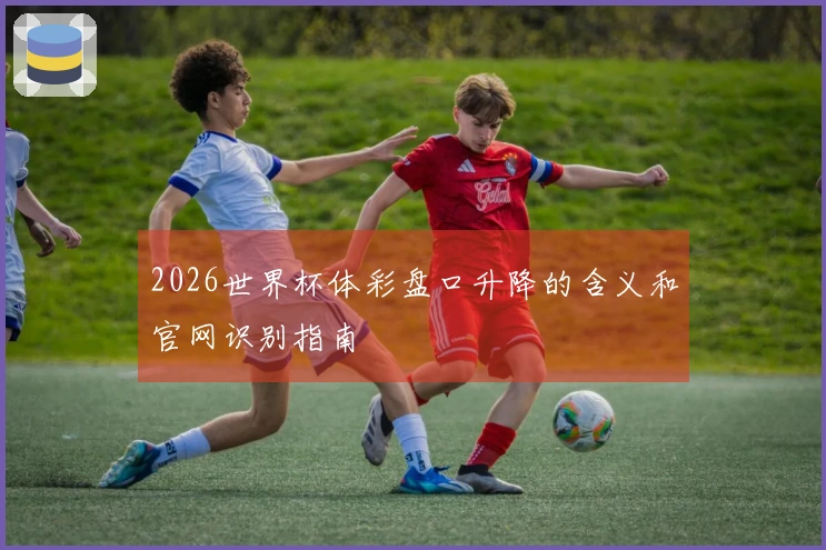 2026世界杯体彩盘口升降的含义和官网识别指南