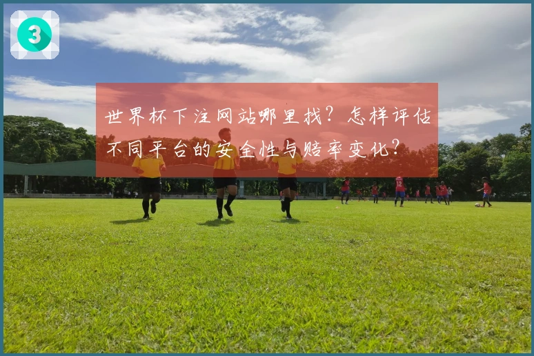 世界杯下注网站哪里找？怎样评估不同平台的安全性与赔率变化？