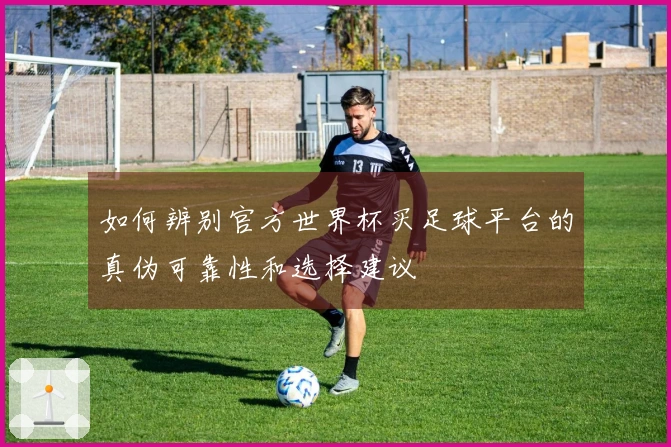 如何辨别官方世界杯买足球平台的真伪可靠性和选择建议